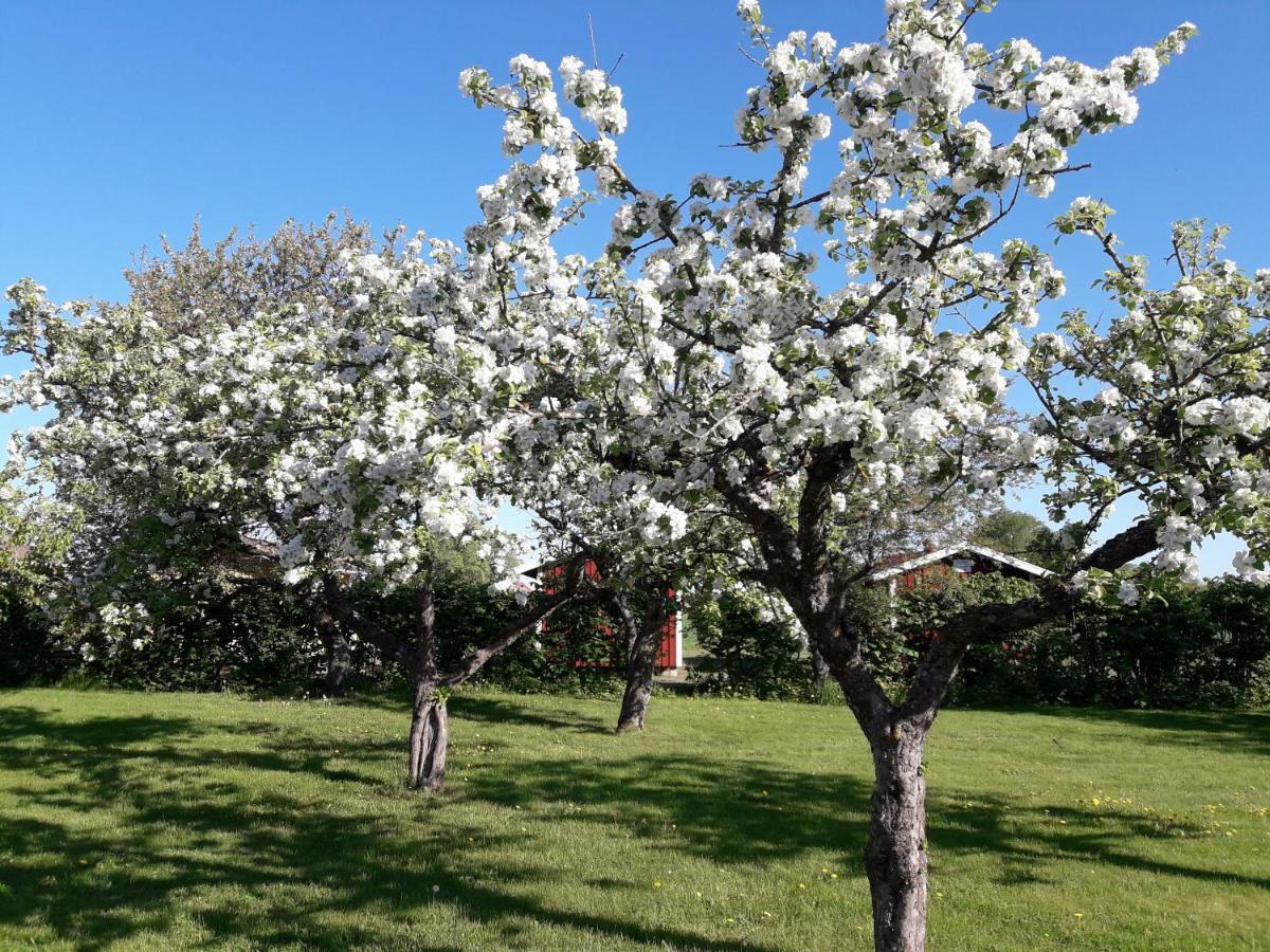 Mellomgarden Villa Norra Lundby Eksteriør billede
